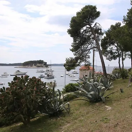 Garden Chill-room With Its Own Garden And Kitchen Appartement Hvar Town