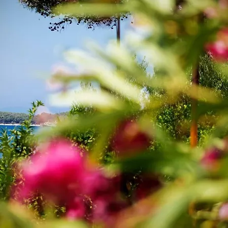 Appartement Garden Chill-room With Its Own Garden And Kitchen Hvar Town